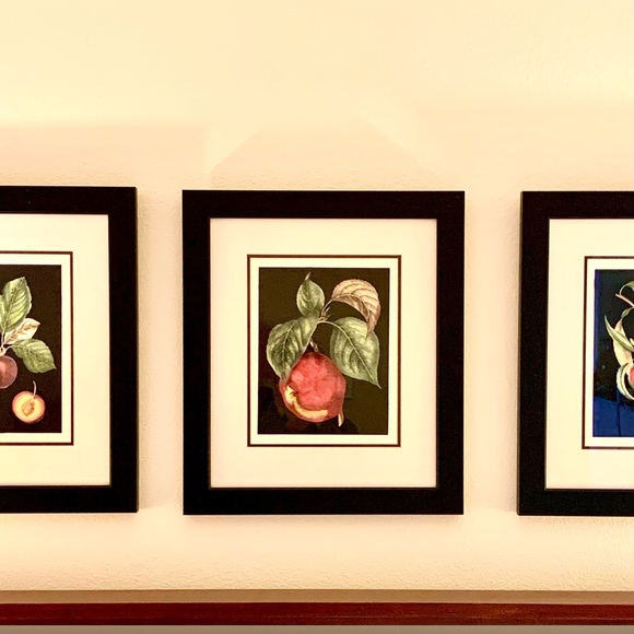 Fruit Theme Framed Art Prints , Set of Two. - Picture 9 of 11